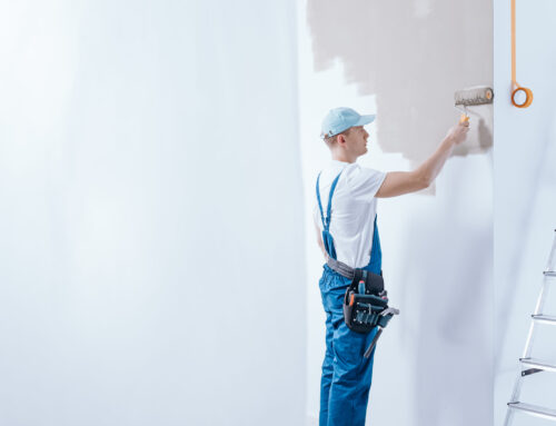 Leading the Green Revolution: Eco-Friendly Paint Innovations in Home Renovations